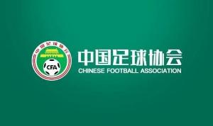 关于组织2026年“雏凤计划”国内选拔总营的通知